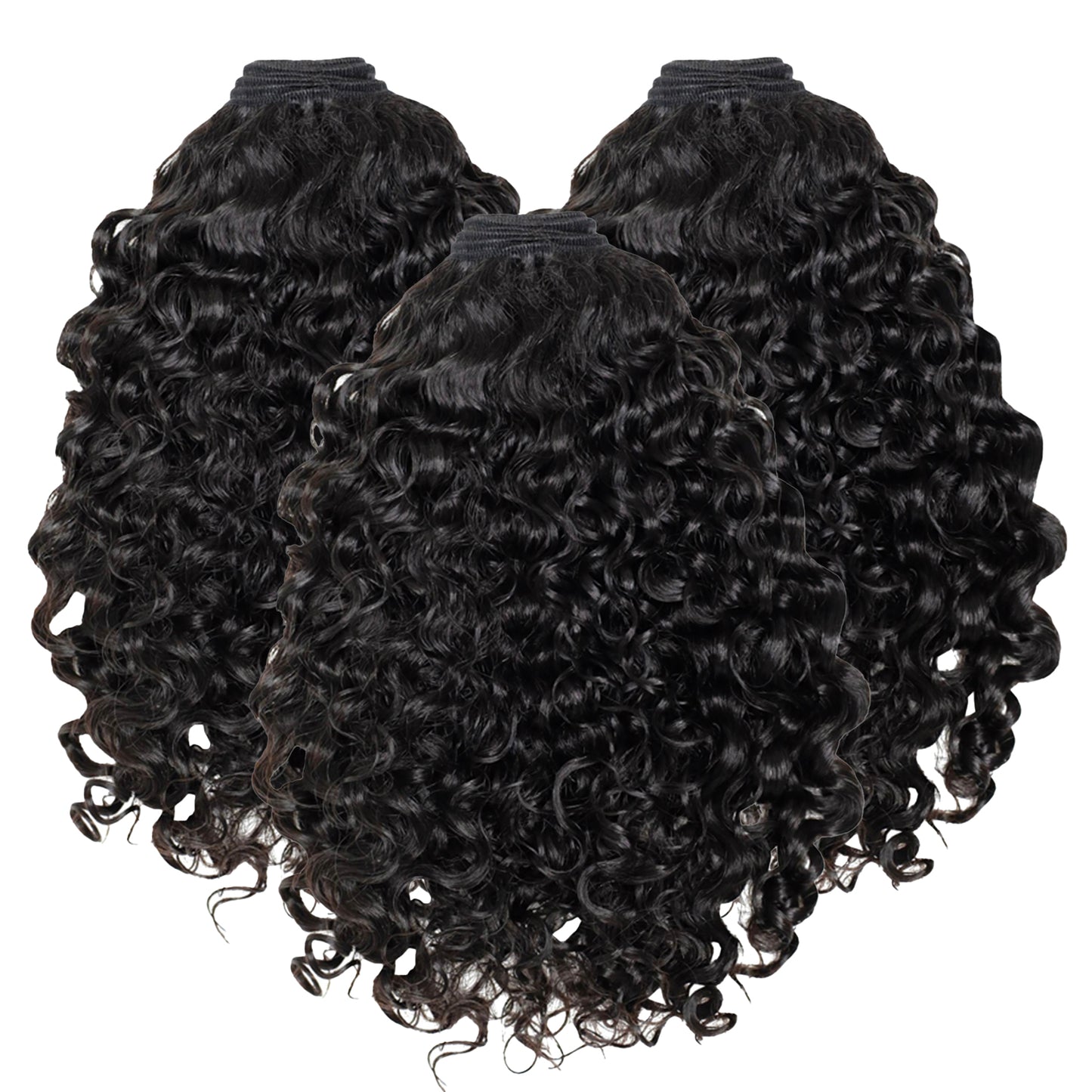 Burmese Curly Bundle Special